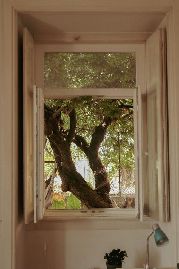 Coimbra Erasmus House - Guest House Exterior photo